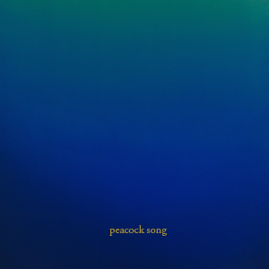 Bam Projects / peacock song