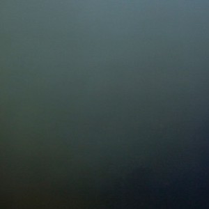 Diffuse vert-versicolore