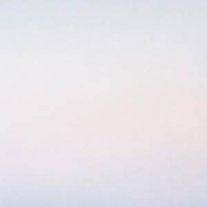 Diffuse rose-polaire