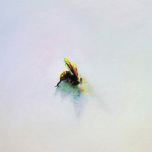 La guêpe