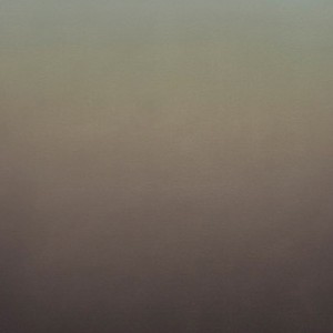 Diffuse gris-versicolore