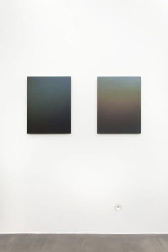 Variable dimension of reality