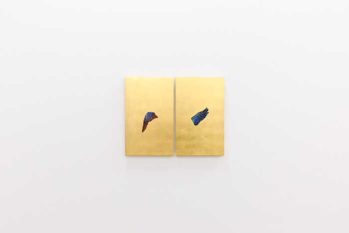 Les ailes
